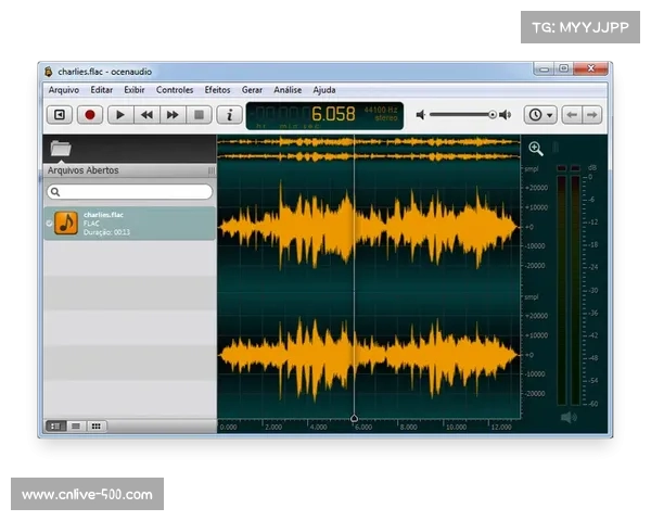 图像处理与音频分析技术结合,增强自动剪辑视频质量 图像处理与音频分析技术结合,增强自动剪辑视频质量