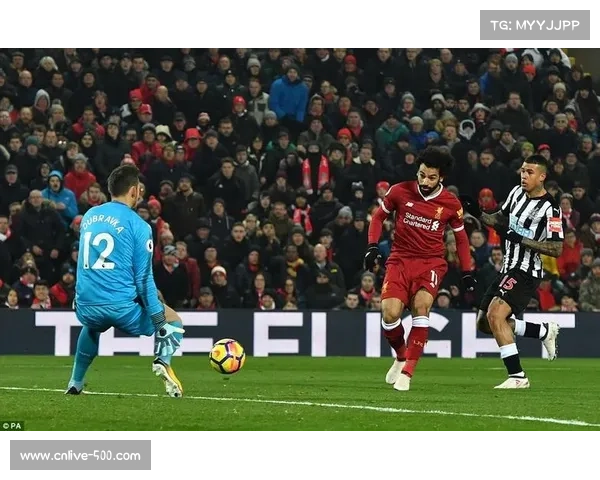 加埃塔诺小角度破门瞬间,卡利亚里球迷狂欢 加埃塔诺小角度破门瞬间,卡利亚里球迷狂欢